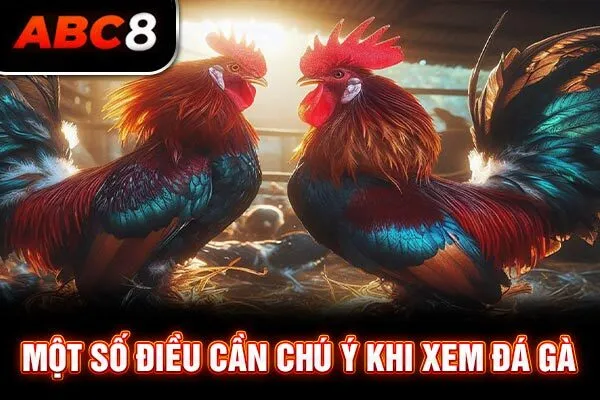Một số điều cần chú ý khi xem đá gà Một số điều cần chú ý khi xem đá gà